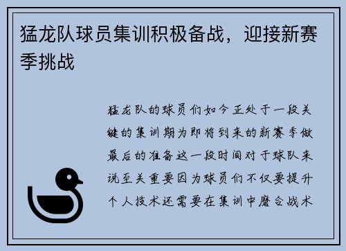 猛龙队球员集训积极备战，迎接新赛季挑战